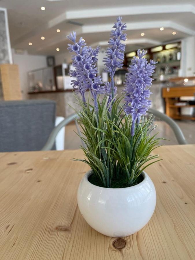 Hotel Franca Misano Adriatico Dış mekan fotoğraf